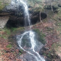 asd